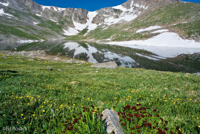 Summit lake and wildflowers on Mount Evans - The clouds have cleared         (DSC_4927: 3872 x 2592 Pixels)  