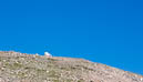 Meyer-Womble observatory on top of Mt. Evans         (DSC_4899: 3872 x 2592 Pixels)  